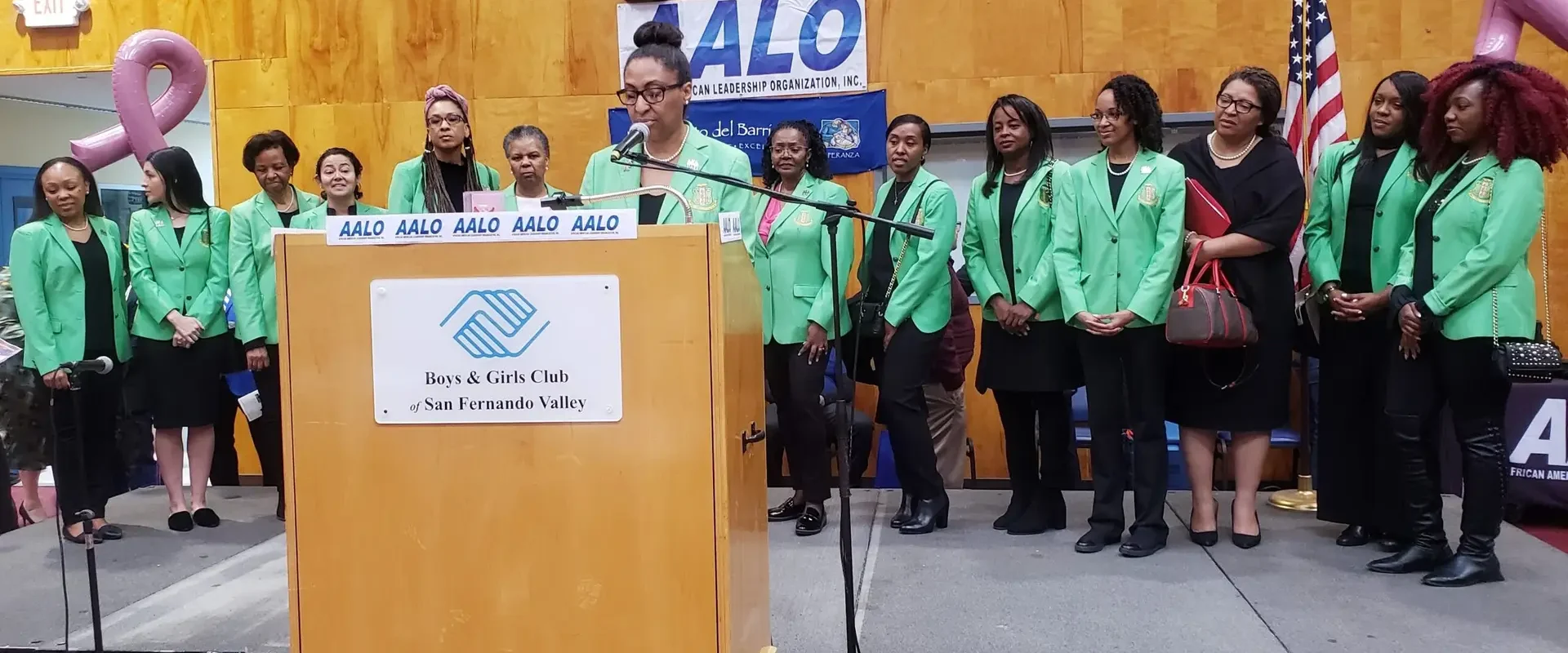 AKA Sorority MLK 2020
